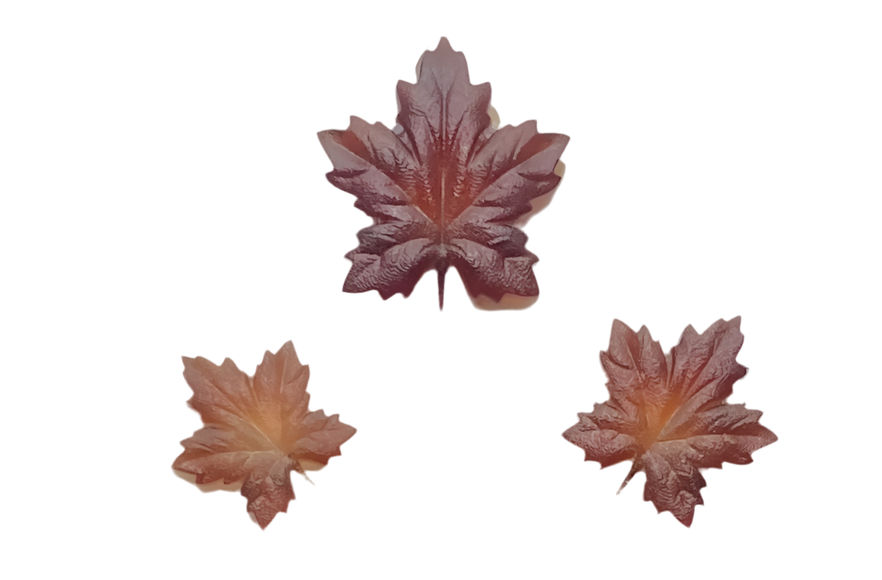 3D Mini Maple Leaf Fall Nail Art Charms decor for Manicure DIY Crafts Jewelry Accessories